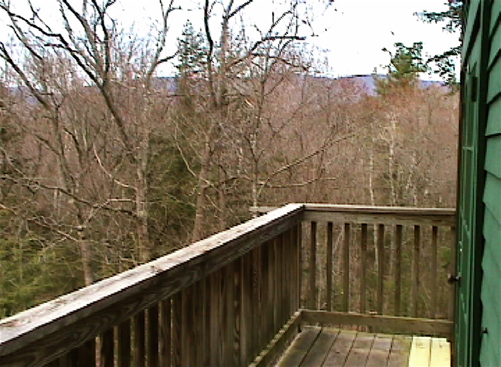 View from deck