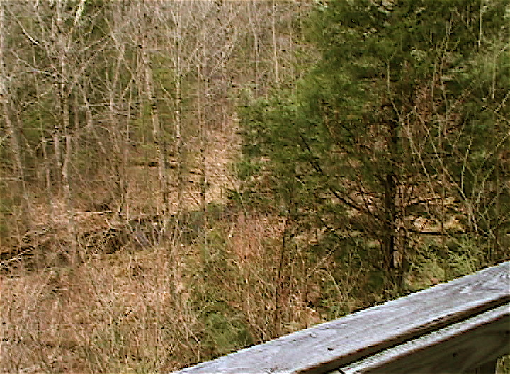 View from deck