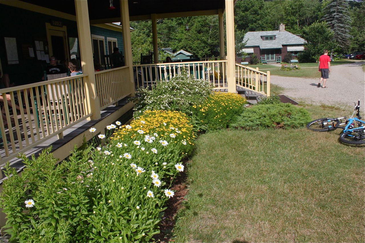 Garden View 1