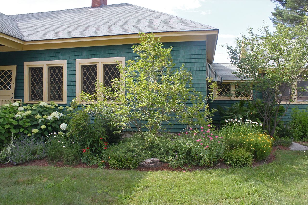 Garden View 3