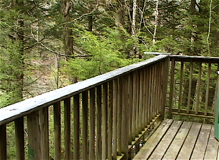 View from deck