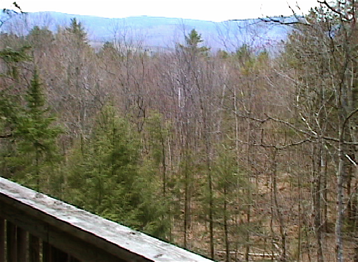 View from deck