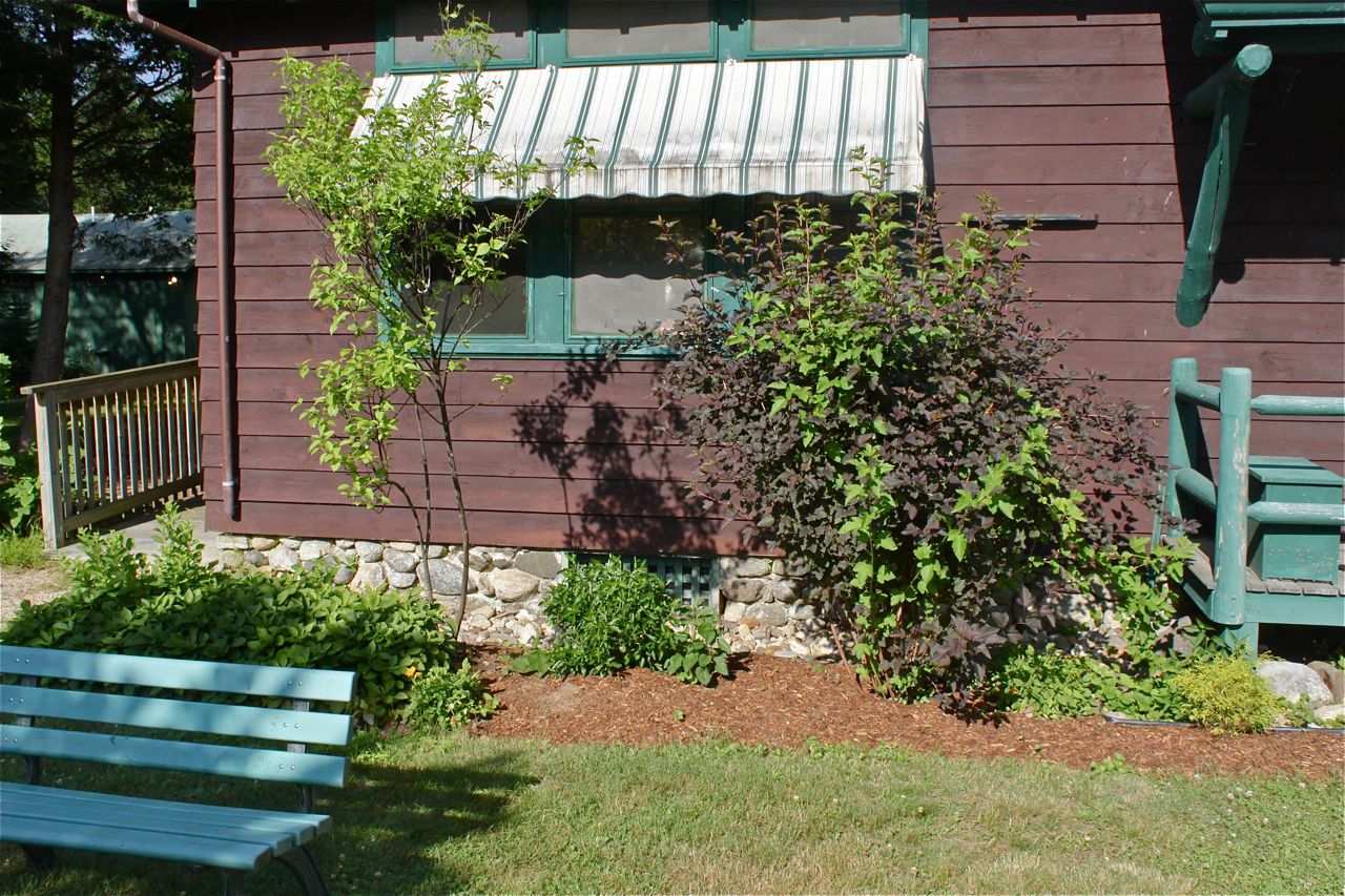 Garden View 4