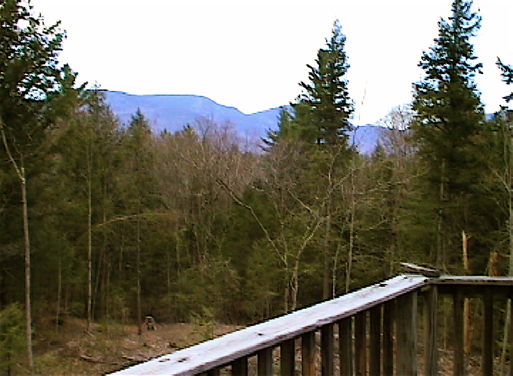 View from deck