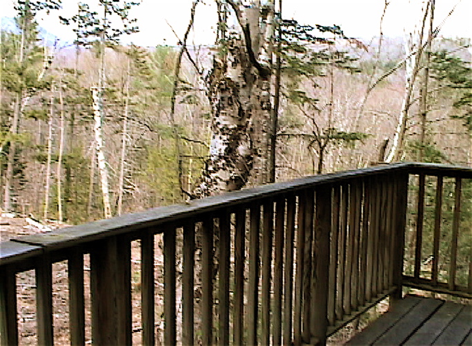 View from deck